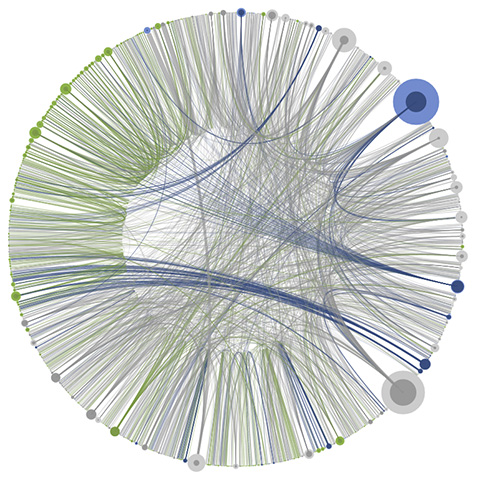 Data Visualization Screenshot